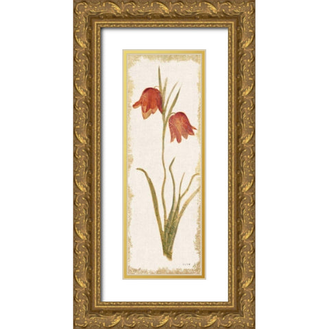 Red Tulip Panel Light Gold Ornate Wood Framed Art Print with Double Matting by Blum, Cheri