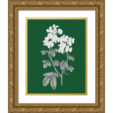 Green Botanical III Gold Ornate Wood Framed Art Print with Double Matting by Wild Apple Portfolio