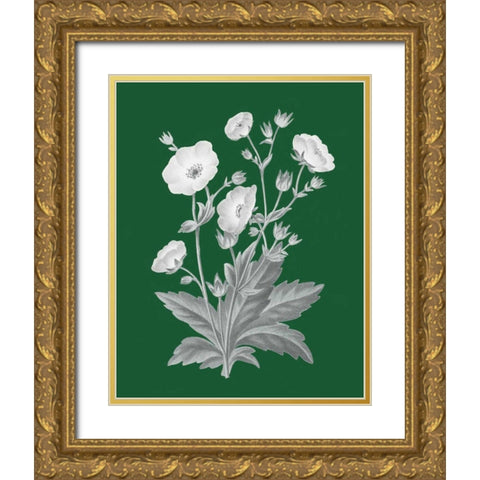 Green Botanical VI Gold Ornate Wood Framed Art Print with Double Matting by Wild Apple Portfolio