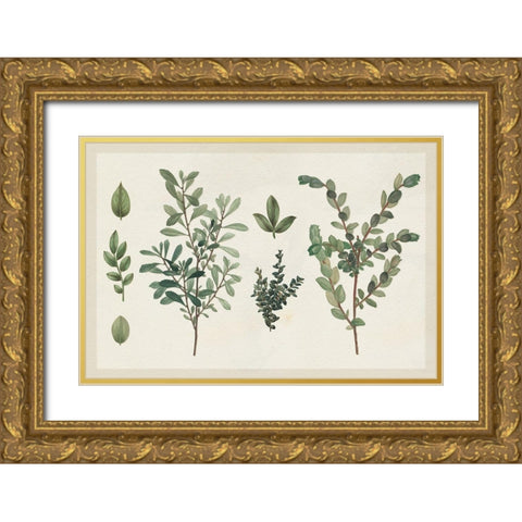 Victorian Garden Chart I Gold Ornate Wood Framed Art Print with Double Matting by Wild Apple Portfolio