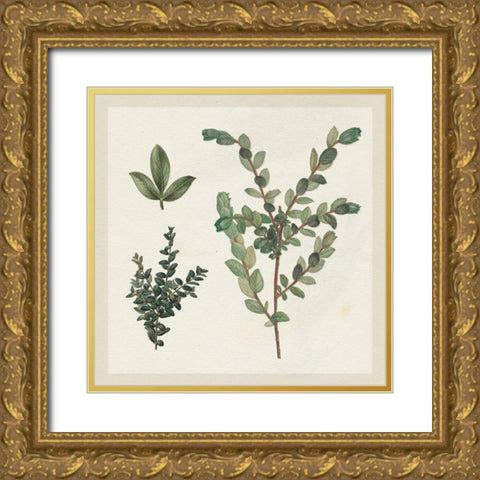 Victorian Garden Chart II Gold Ornate Wood Framed Art Print with Double Matting by Wild Apple Portfolio