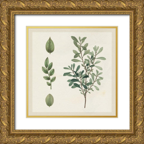 Victorian Garden Chart III Gold Ornate Wood Framed Art Print with Double Matting by Wild Apple Portfolio