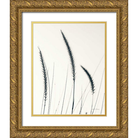 Field Grasses IV BW Crop Gold Ornate Wood Framed Art Print with Double Matting by Van Swearingen, Debra