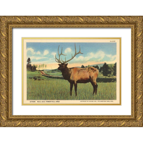 Elk I Crop Gold Ornate Wood Framed Art Print with Double Matting by Wild Apple Portfolio