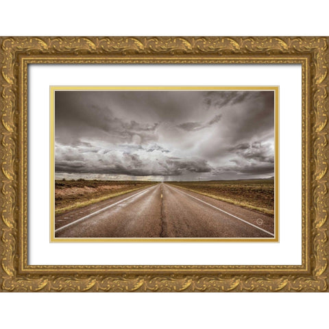 Into The Storm Gold Ornate Wood Framed Art Print with Double Matting by Larson, Nathan