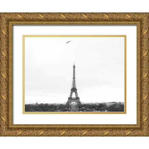 A Birds View of Paris Gold Ornate Wood Framed Art Print with Double Matting by Larson, Nathan