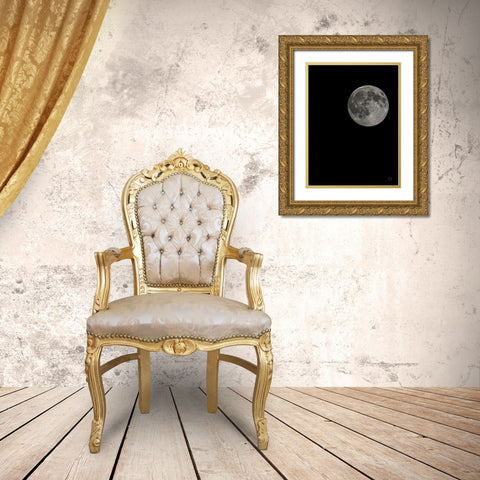 Moon Detail I Gold Ornate Wood Framed Art Print with Double Matting by Larson, Nathan