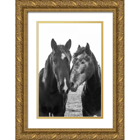 Good Friends Mane Gold Ornate Wood Framed Art Print with Double Matting by Aledanda