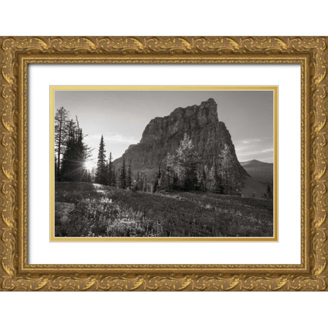 Boulder Pass Glacier National Park BW Gold Ornate Wood Framed Art Print with Double Matting by Majchrowicz, Alan