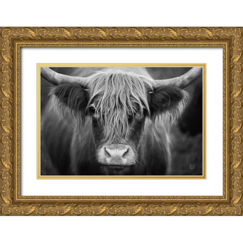 Cow Nose BW Gold Ornate Wood Framed Art Print with Double Matting by Larson, Nathan