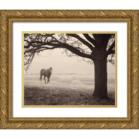 Hazy Horse I Gold Ornate Wood Framed Art Print with Double Matting by Van Swearingen, Debra