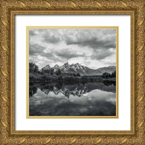 Scenic Landscape II BW Gold Ornate Wood Framed Art Print with Double Matting by Eichman, Andre