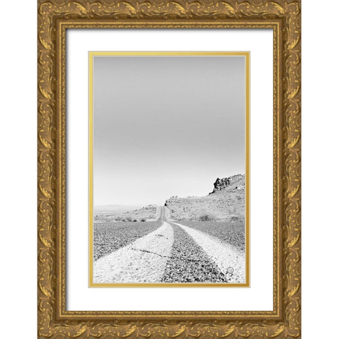 Into the Desert Gold Ornate Wood Framed Art Print with Double Matting by Larson, Nathan