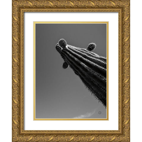 King II Gold Ornate Wood Framed Art Print with Double Matting by Larson, Nathan