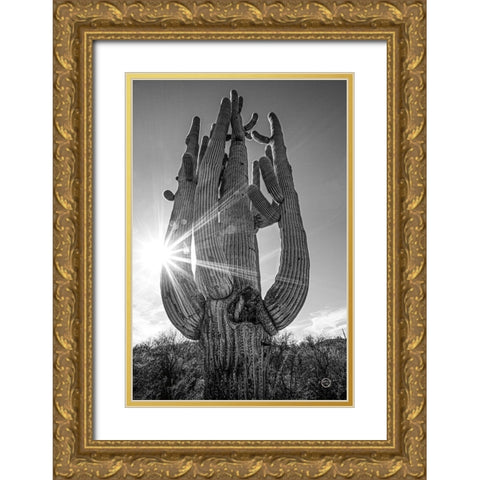 Sunset Saguaro Gold Ornate Wood Framed Art Print with Double Matting by Larson, Nathan