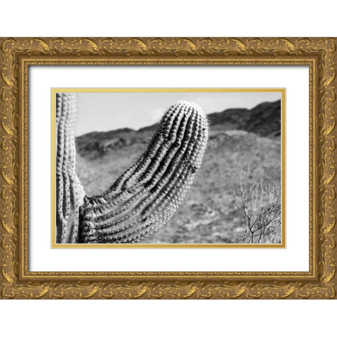 Saguaro Gold Ornate Wood Framed Art Print with Double Matting by Larson, Nathan