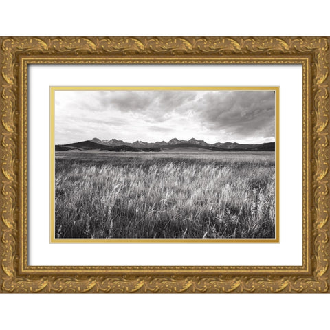 Sawtooth Mountains Idaho II BW Gold Ornate Wood Framed Art Print with Double Matting by Majchrowicz, Alan