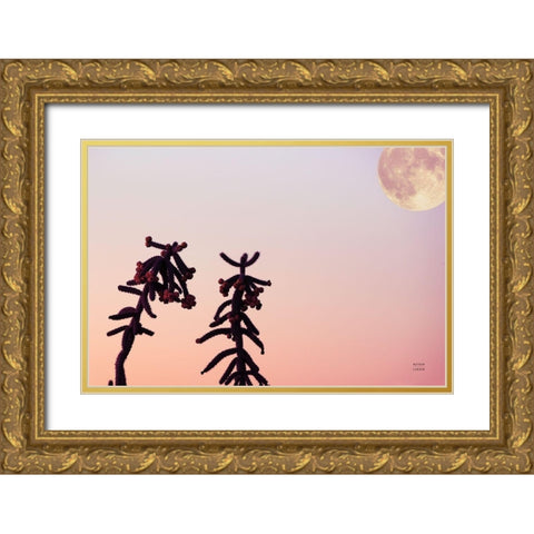 Moon Desert Gold Ornate Wood Framed Art Print with Double Matting by Larson, Nathan