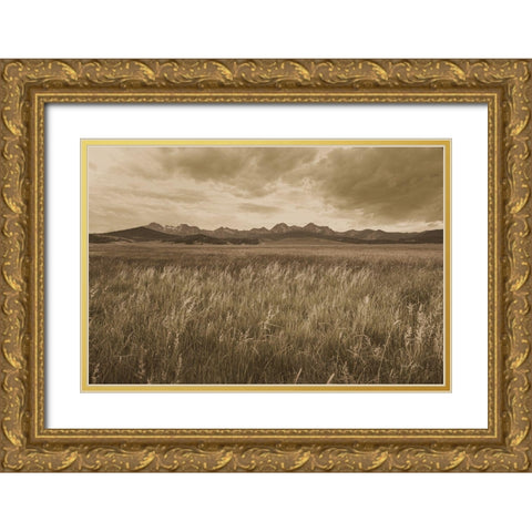 Sawtooth Mountains Idaho II Dark Gold Ornate Wood Framed Art Print with Double Matting by Majchrowicz, Alan