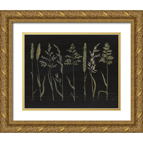 Herbal Botanical VII Black Wood No Words Gold Ornate Wood Framed Art Print with Double Matting by Wild Apple Portfolio