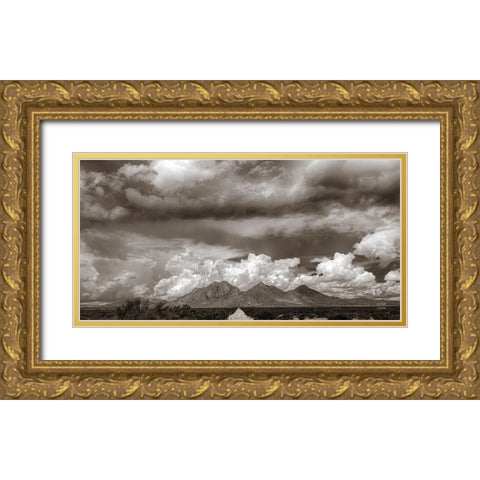 New Mexico Mountains Gold Ornate Wood Framed Art Print with Double Matting by Larson, Nathan