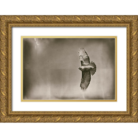 Catch and Fly Gold Ornate Wood Framed Art Print with Double Matting by Larson, Nathan