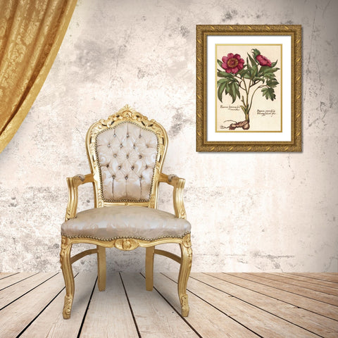 Giant Peony I Gold Ornate Wood Framed Art Print with Double Matting by Van Houtte, Ludwig