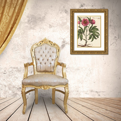Giant Peony II Gold Ornate Wood Framed Art Print with Double Matting by Van Houtte, Ludwig