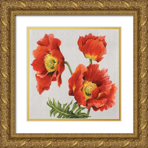 Poppies on Silk Gold Ornate Wood Framed Art Print with Double Matting by Shelby, Judy