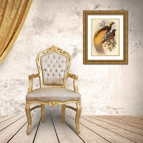 Golden Bird of Paradise Gold Ornate Wood Framed Art Print with Double Matting by Reynolds, Alastair
