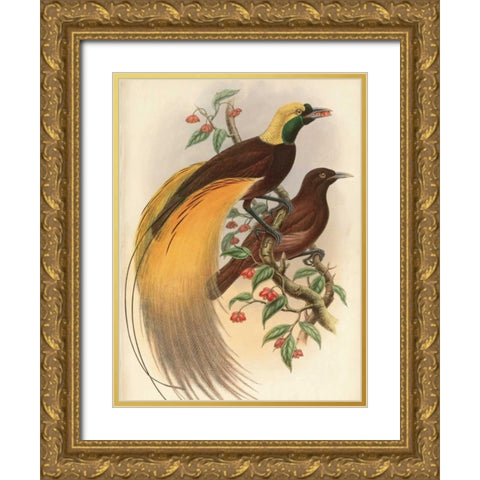 Golden Bird of Paradise Gold Ornate Wood Framed Art Print with Double Matting by Reynolds, Alastair