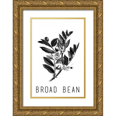 Broad Bean Gold Ornate Wood Framed Art Print with Double Matting by Waltz, Anne