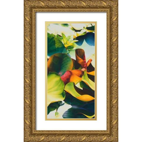 Nymphea 4 Gold Ornate Wood Framed Art Print with Double Matting by Koch, Angelika