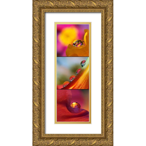 Jeux des Boules II Gold Ornate Wood Framed Art Print with Double Matting by Laimgruber, Dagmar