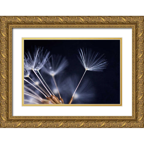 Anmut Gold Ornate Wood Framed Art Print with Double Matting by Rossmeissl, Gerhard