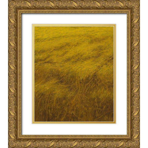 Der Roggen Gold Ornate Wood Framed Art Print with Double Matting by Li, Heng