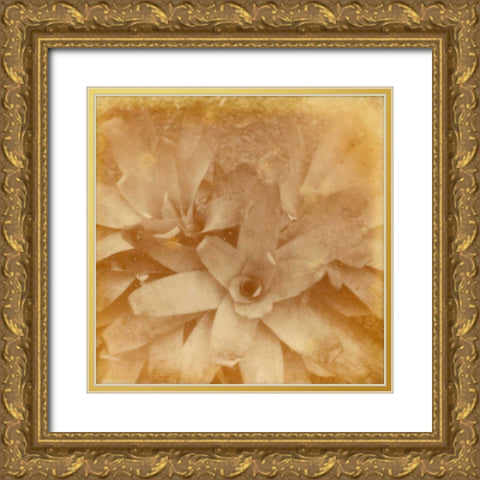 Halia Aloha I Gold Ornate Wood Framed Art Print with Double Matting by Johnson, Jason