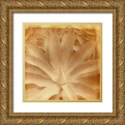Halia Aloha III Gold Ornate Wood Framed Art Print with Double Matting by Johnson, Jason