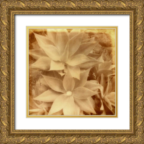 Halia Aloha IV Gold Ornate Wood Framed Art Print with Double Matting by Johnson, Jason