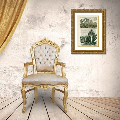 Journal of the Tropics II Gold Ornate Wood Framed Art Print with Double Matting by Vision Studio