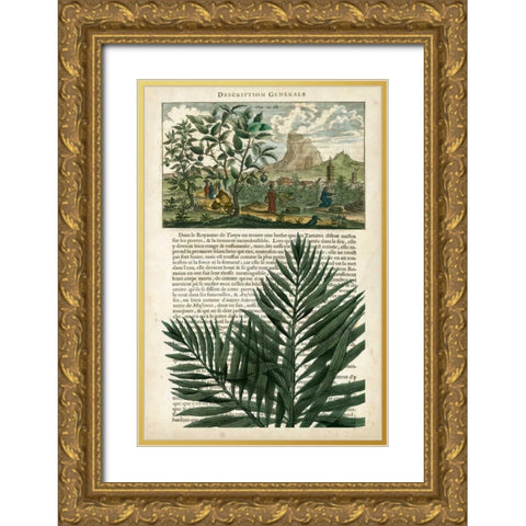 Journal of the Tropics II Gold Ornate Wood Framed Art Print with Double Matting by Vision Studio