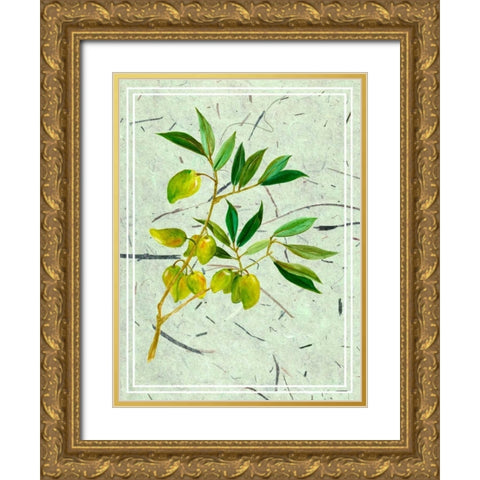 Olives on Textured Paper II Gold Ornate Wood Framed Art Print with Double Matting by Wang, Melissa