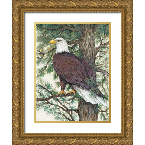 Eagle in the Pine Gold Ornate Wood Framed Art Print with Double Matting by OToole, Tim