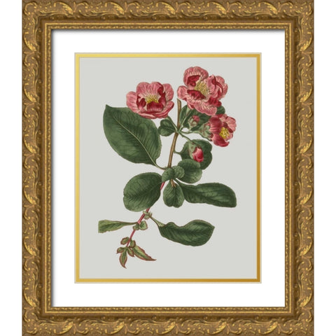 Floral Gems I Gold Ornate Wood Framed Art Print with Double Matting by Vision Studio