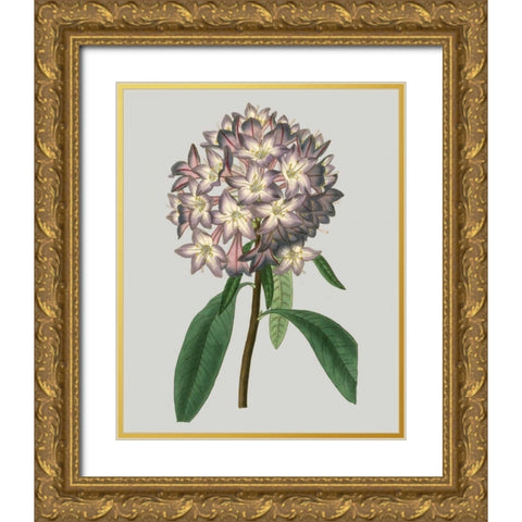 Floral Gems V Gold Ornate Wood Framed Art Print with Double Matting by Vision Studio