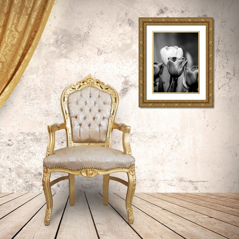 Floral Portrait II Gold Ornate Wood Framed Art Print with Double Matting by Pica, Jeff