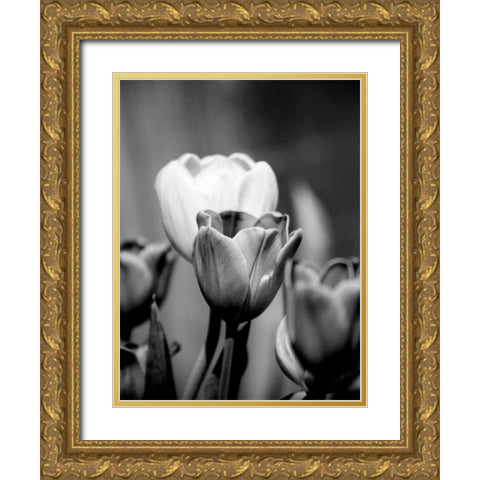 Floral Portrait II Gold Ornate Wood Framed Art Print with Double Matting by Pica, Jeff
