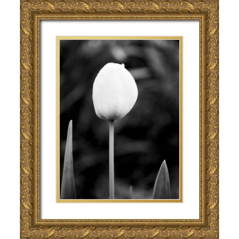 Floral Portrait III Gold Ornate Wood Framed Art Print with Double Matting by Pica, Jeff