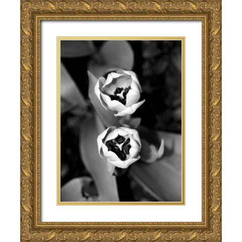 Floral Portrait IV Gold Ornate Wood Framed Art Print with Double Matting by Pica, Jeff