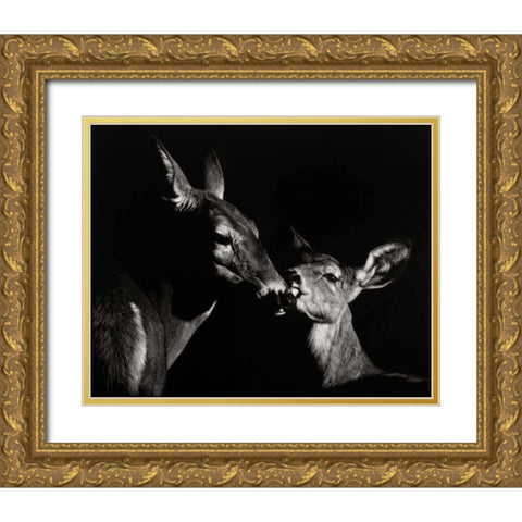 Scratchboard Mother Love #2 Gold Ornate Wood Framed Art Print with Double Matting by Chapman, Julie T.